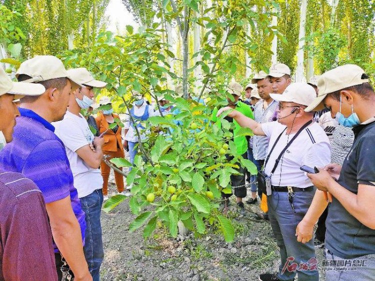 「基层连线」培训更精准 针对性更强