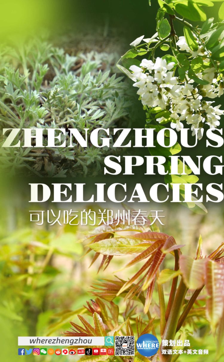 【双语听读】Zhengzhou's spring delicacies 可以吃的郑州春天