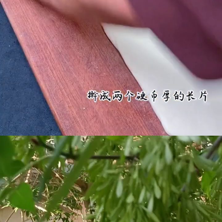 和 一起 河南美食#抖音美食推荐官