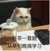 考研要不要报班啊？