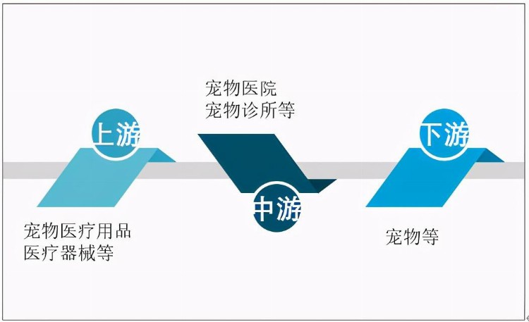 2020年中国宠物医疗支出费用及宠物医院发展分析