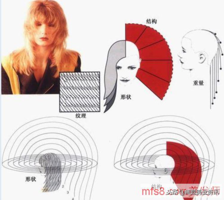 发型师剪发基础教学，初学者必学理论