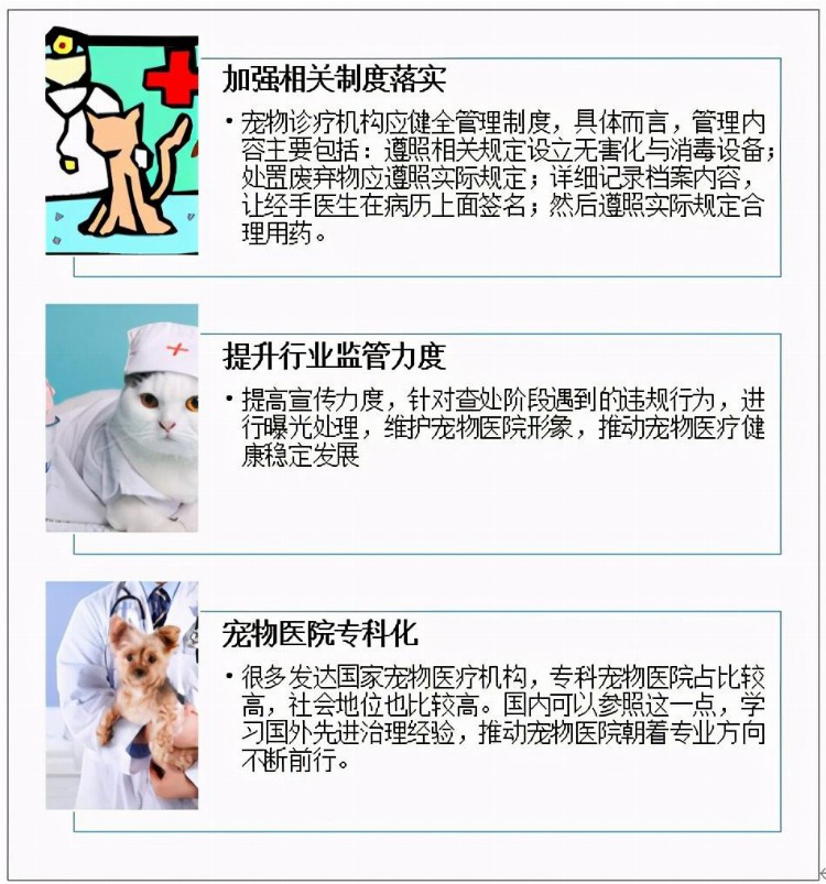2020年中国宠物医疗支出费用及宠物医院发展分析