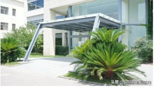 艺术升学：上海7所开设艺术方向课程的国际化学校推荐！