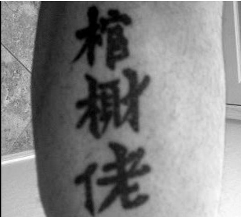 “不能被中国人笑话”，德国政府为挽回面子下令纹身师必须学汉语
