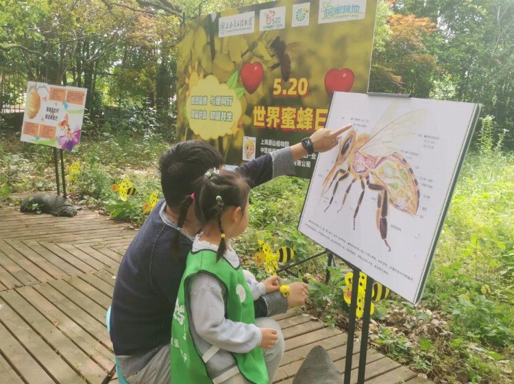 上海这两家国家青少年自然教育绿色营地，你去过吗？