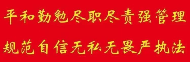 2022年度全市驾校培训驾驶人考试质量排名情况