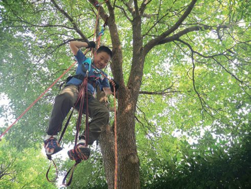 游在崇明，学在路上！线路十八：西来农庄孤岛求生五日夏令营