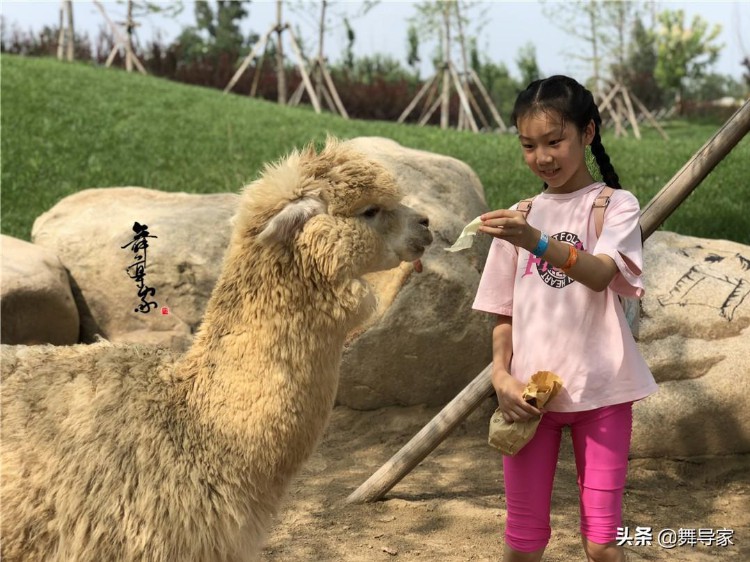 家长说艺考｜我的女儿考上了北舞附中