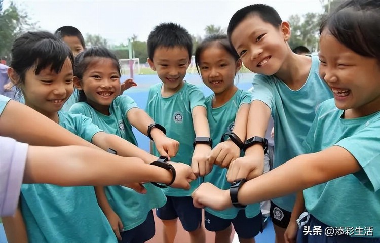 十年来，教育公平达到新高度，立德树人翻开新征程