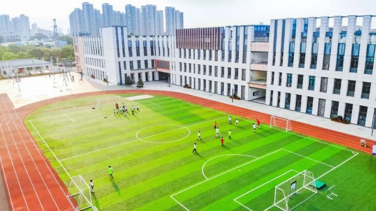 2023年，深圳国际学校有哪些招生要求？