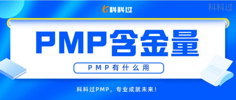 2023年PMP含金量/PMP有什么用