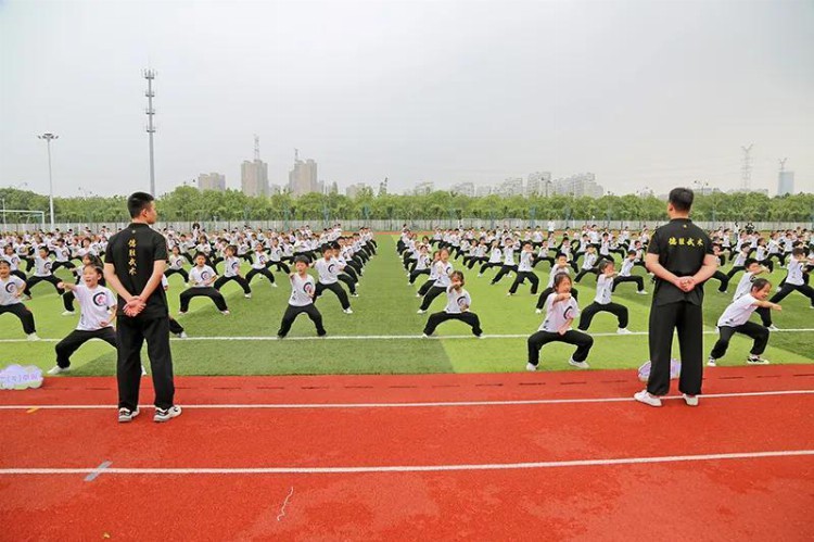 段位武术进课堂南通率先落地 全国有关专家学者齐聚通城研讨