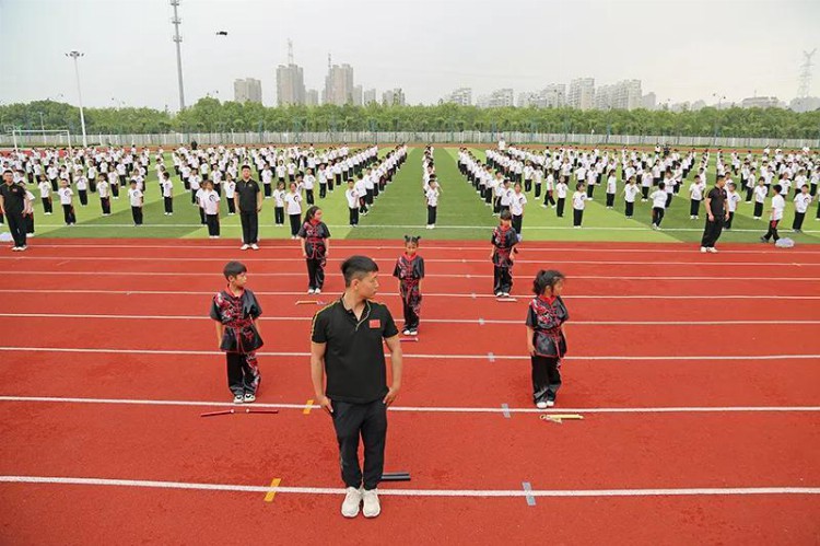 段位武术进课堂南通率先落地 全国有关专家学者齐聚通城研讨