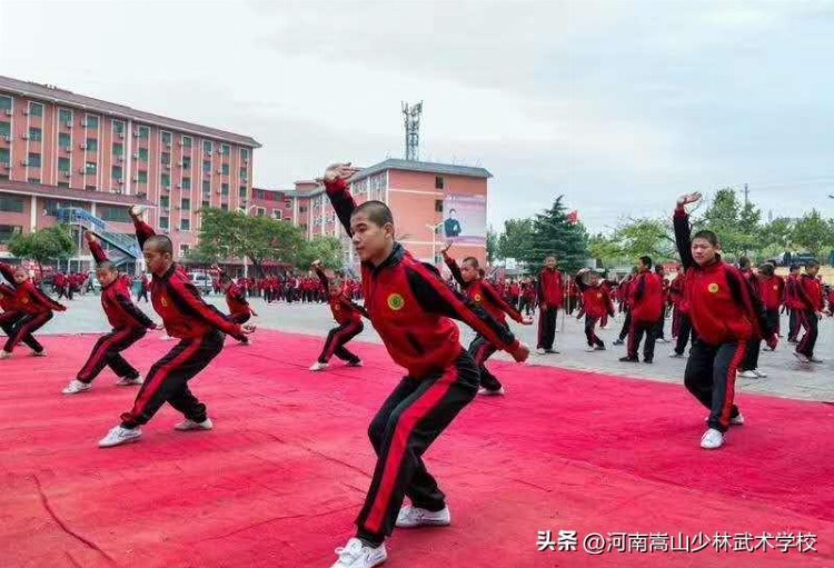 全国十佳武术院校排名中有河南嵩山少林武校吗？