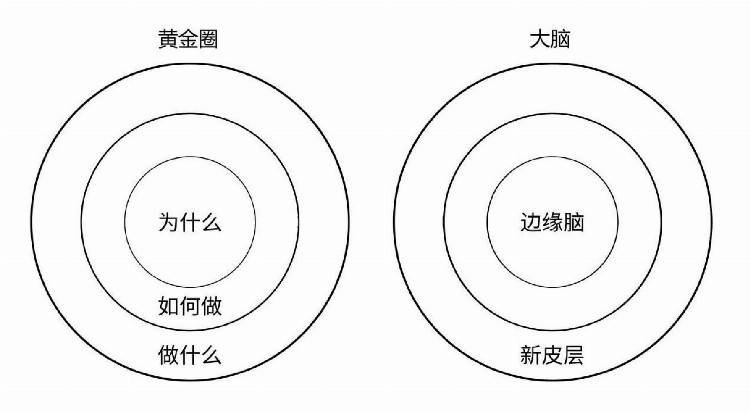 “学习金字塔”理论——大量的交流训练，甚至把学到的教给别人