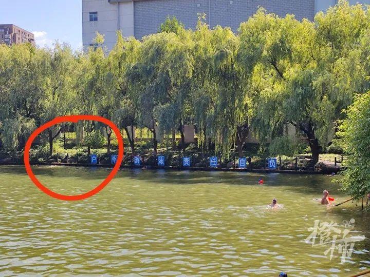 杭州艮山户外泳池又出事：昨天一20多岁小伙溺水，今早又一大伯岸边突发疾病，目前两人都在医院抢救