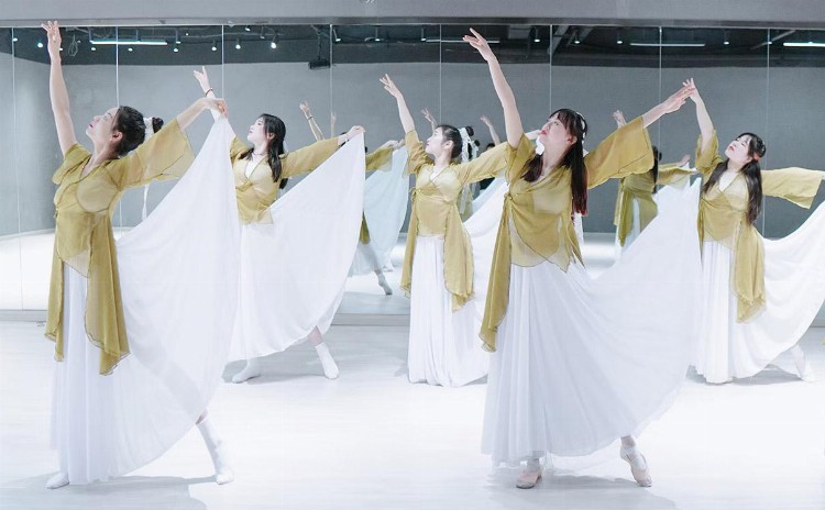 深圳上塘地铁站周围的成人国风舞培训班有那些，哪家好