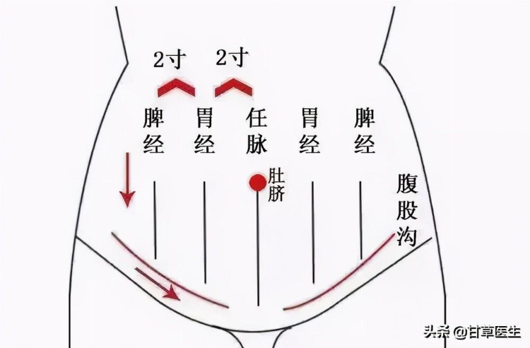 身体这处每天揉15分钟，养元气、消积食、助睡眠