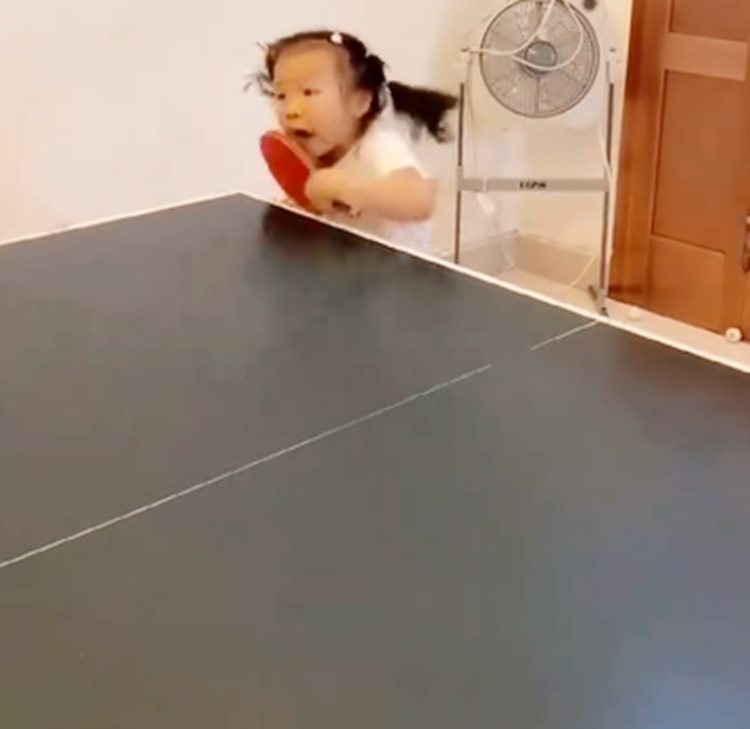 幼儿园选手申请出战！5岁女娃乒乓球技响当当，背后努力令人赞赏