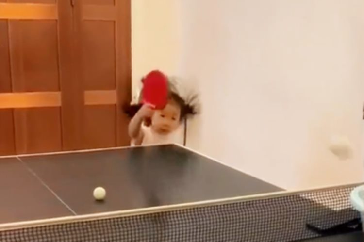 幼儿园选手申请出战！5岁女娃乒乓球技响当当，背后努力令人赞赏