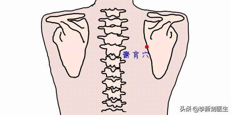 四大强壮要穴之膏肓穴