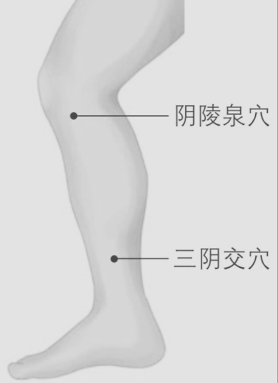 经常推揉这三条经络，湿毒无处可藏