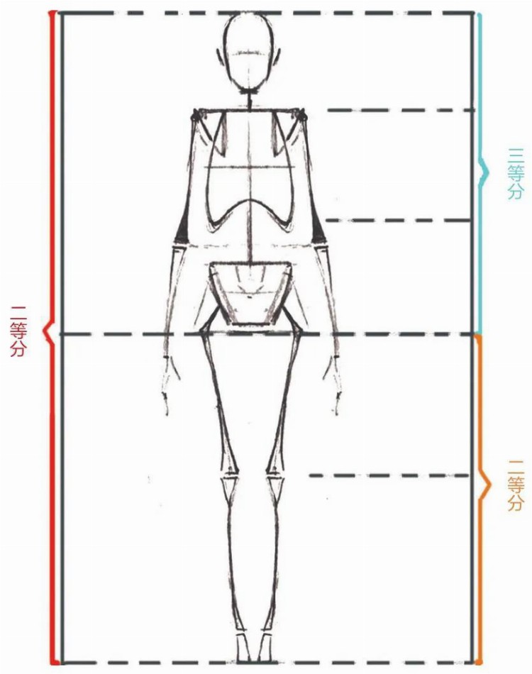 小白绘画学习（2）