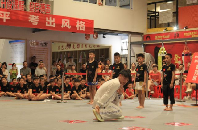 首届登存武术搏击晋级考试圆满落幕