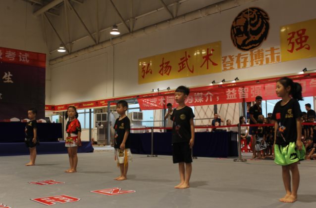 首届登存武术搏击晋级考试圆满落幕