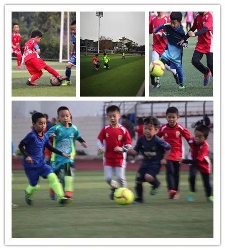 中国足协应当尽快成立少儿足球训练