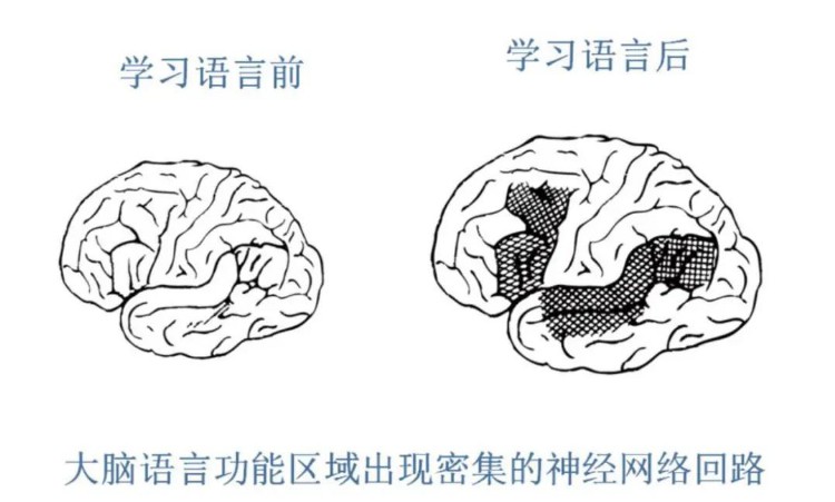 英语教育的破局之道，iEnglish：助力教培机构和赋能学生