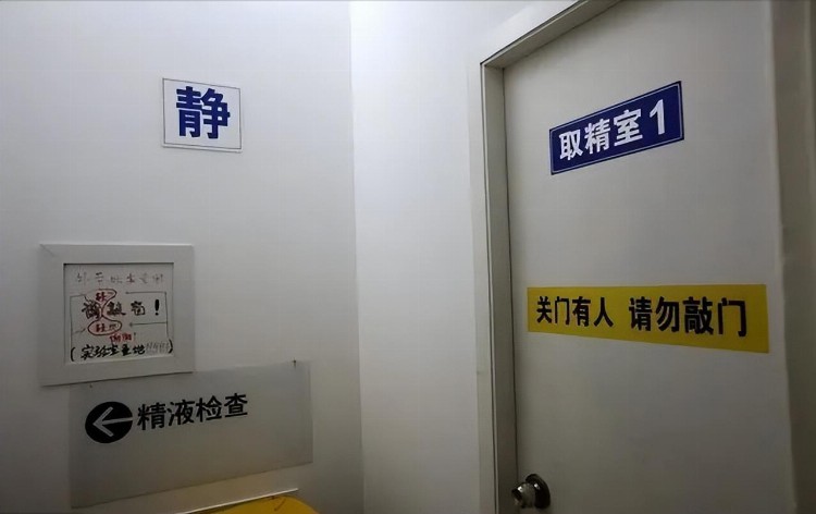 上海捐精志愿者讲述亲历：取精室没有很色情，最终拿了7500补贴