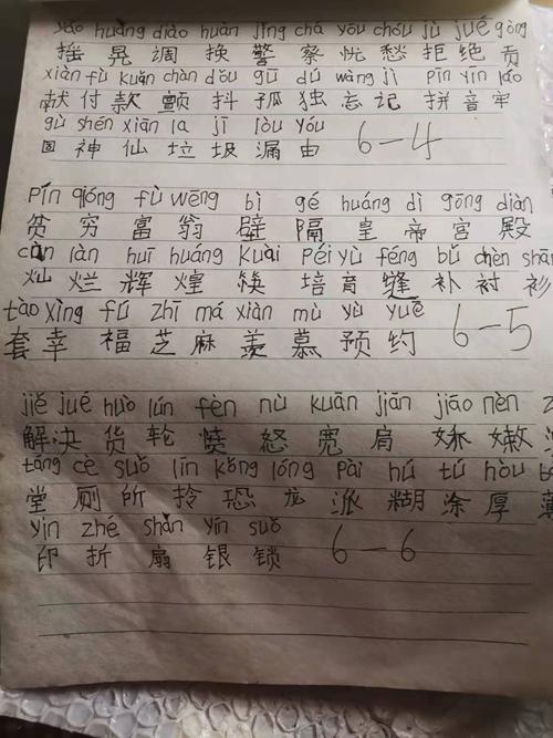 直播间里的“成人识字班”：即使忙于生计 也要投入学习