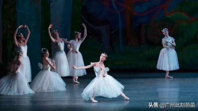 芭蕾舞剧《仙女》与《仙女们》有什么关系？