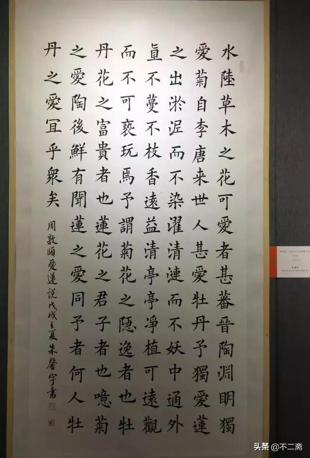 小学生学霸毛笔书法获奖作品，有国展范