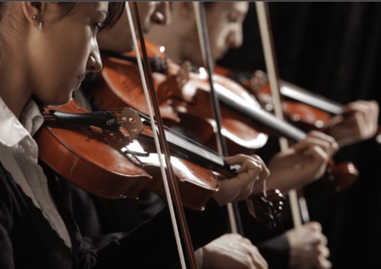 按时期和流派划分的 10 种主要小提琴类型