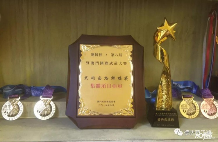 德庆县武术队扬威国际赛场 勇夺4金4银1铜