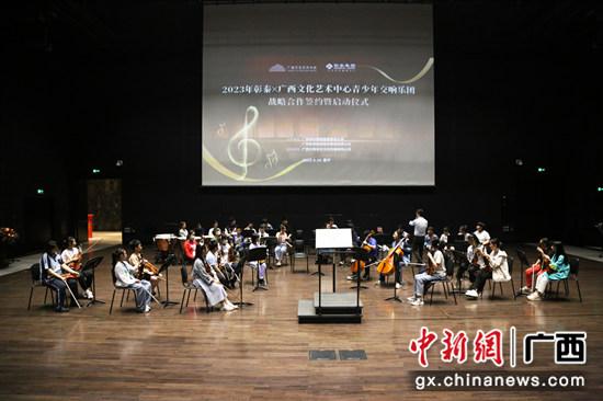 广西文化艺术中心青少年交响乐团正式启动