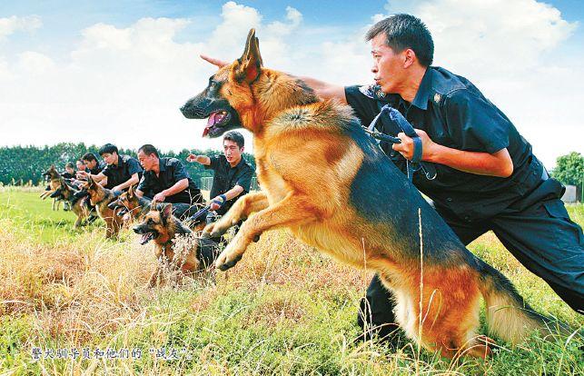 辅警队伍改革：“破冰”背后的宁波探索