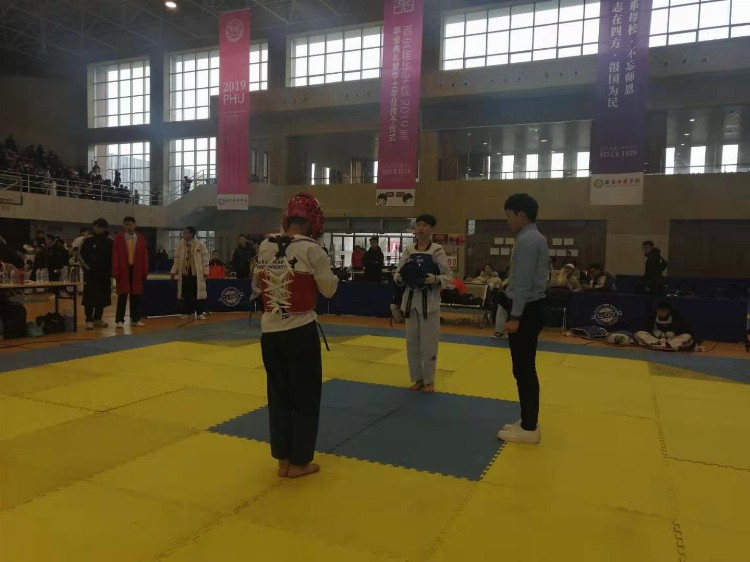 2020年首届BUDOTOP 公开赛～新疆枫林隼之翼跆拳道俱乐部特别报道