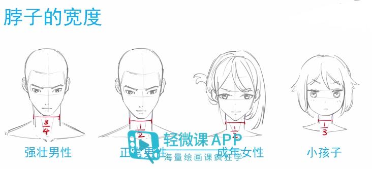 萌新画人体总是画不好？教你漫画人体教程！