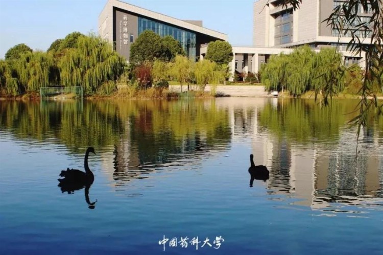 2023年中国药科大学成人高考招生简章