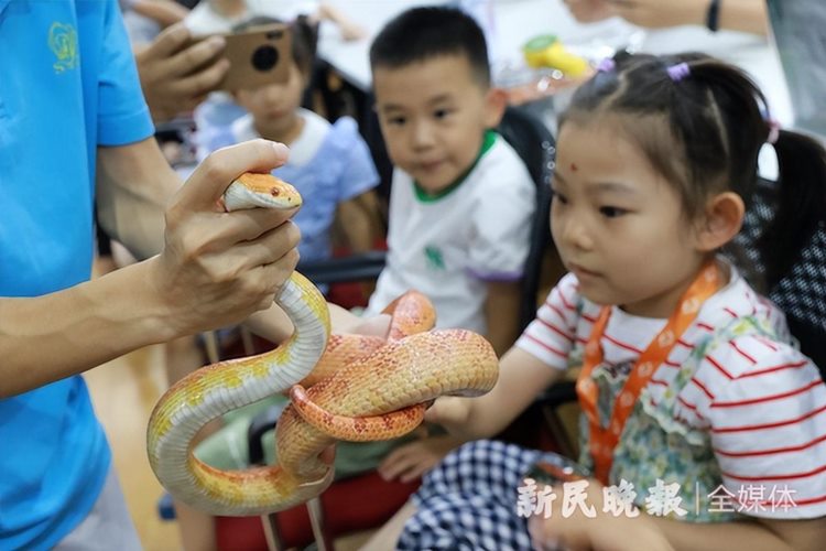 大小童分开游 成人专场火爆 上海动物园今年首场夜游昨晚举行