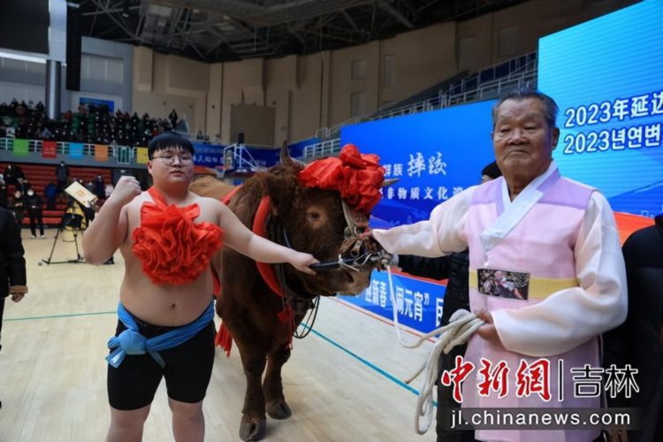 延吉举办民族式摔跤比赛 百余名选手摩拳擦掌“牵黄牛”