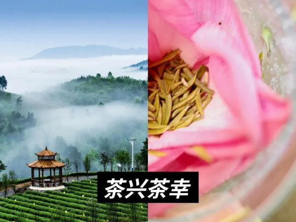 消费西城｜寻茶“趣” 吃茶去！西城北京坊请您沉浸式尝“新”茶！