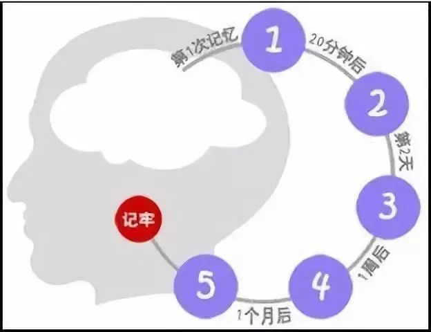 中国人雅思全球排名倒数第8! 成人到底应该怎样学英语？