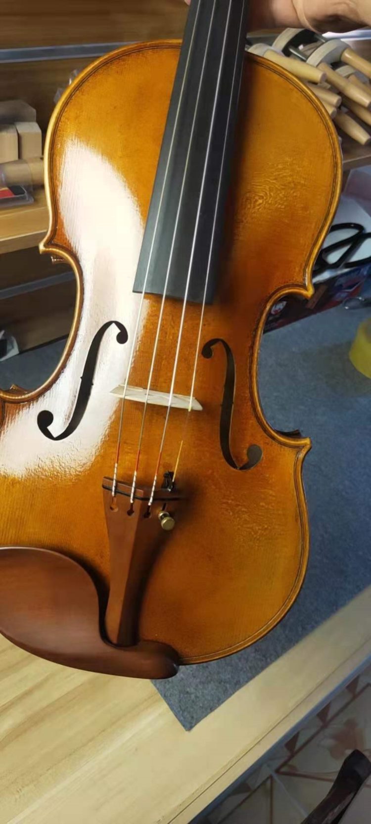 学小提琴需要多少钱？（详细为您解说）