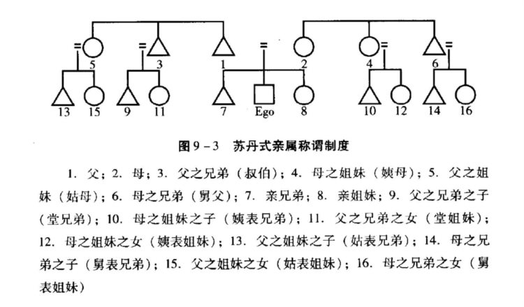 中英文孰优孰劣？