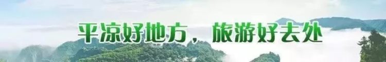 市文化馆2022年春季公益免费培训正式开班